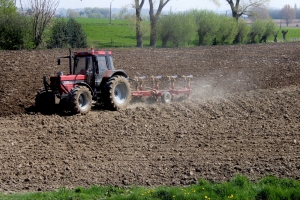 Traktor ore na polju